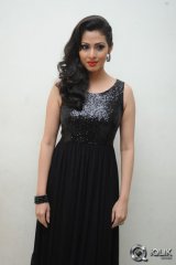 Sadha at Yamaleela 2 Movie Audio Launch